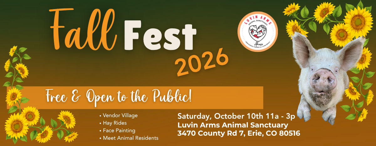 Fall Fest 2026